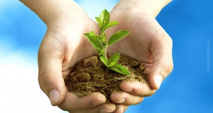 Responsibility_sub_Environmental_Protection