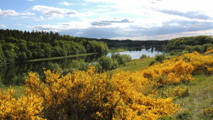 Rørbæk_Sø,_Ejstrupholm,_Denmark_-_panoramio_(3)